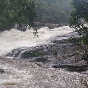 Meet your Posher, Dawna